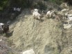 The goats run away 