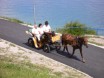 Hestekørsel rundt om søen
