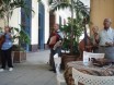 Musik in einem Restaurant am Plaza Vieja
