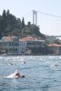 Svmmere ved Fatih Sultan Mehmet broen