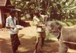 Dyrepasseren giver den lille elefant mad